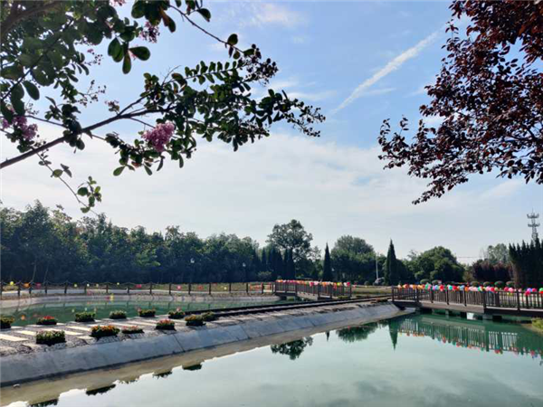 1600070095933422.png 图片3_副本.png