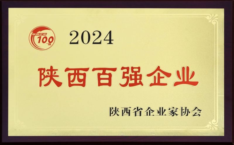 2024年，连续十二年入围“陕西百强企业”.png