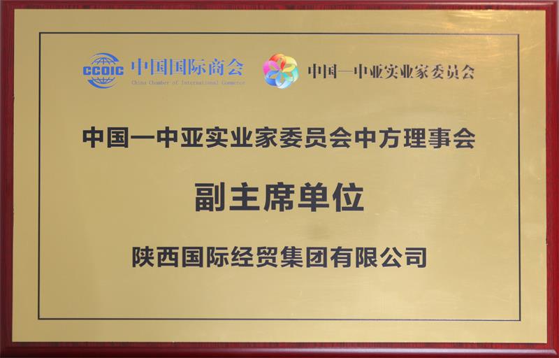 2025年，被授予中国—中亚实业家委员会中方理事会副主席单位.jpg