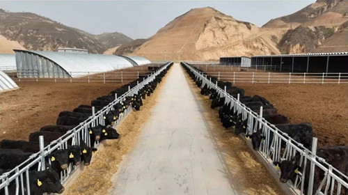 1758092273862169.jpg 640_副本.jpg