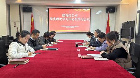 陕海投公司：召开2025年第11次党委理论学习中心组学习会议_副本.jpg