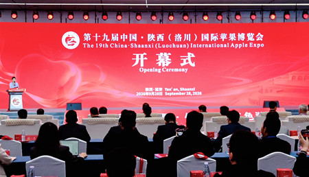 edcb3aee94f5e40b8b3511e5e4514dad_1790586581328_1_副本.jpg